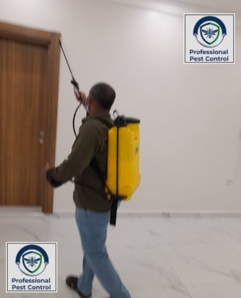  شركة بروفيشنال لمكافحة الحشرات والقوارض بالكويت