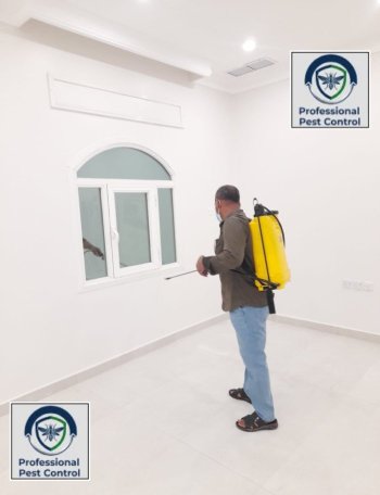شركة بروفيشنال لمكافحة الحشرات والقوارض بالكويت
