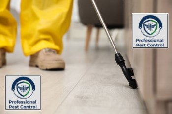 شركة بروفيشنال لمكافحة الحشرات والقوارض بالكويت