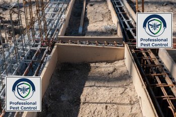 شركة بروفيشنال لمكافحة الحشرات والقوارض بالكويت