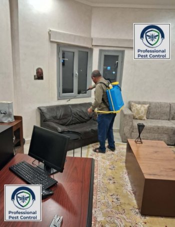 شركة بروفيشنال لمكافحة الحشرات والقوارض بالكويت