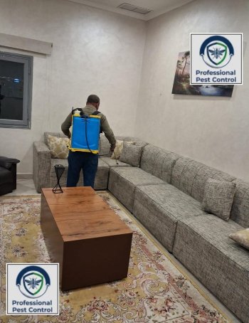 شركة بروفيشنال لمكافحة الحشرات والقوارض بالكويت