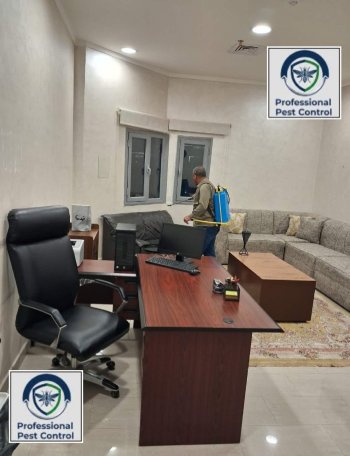 شركة بروفيشنال لمكافحة الحشرات والقوارض بالكويت