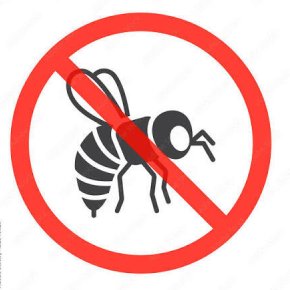 شركة بروفيشنال لمكافحة الحشرات والقوارض بالكويت