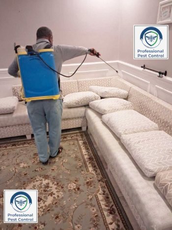شركة بروفيشنال لمكافحة الحشرات والقوارض بالكويت