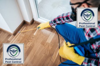 شركة بروفيشنال لمكافحة الحشرات والقوارض بالكويت